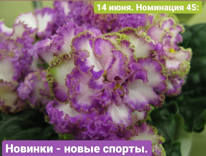 2r1U1BjE0VM.jpg