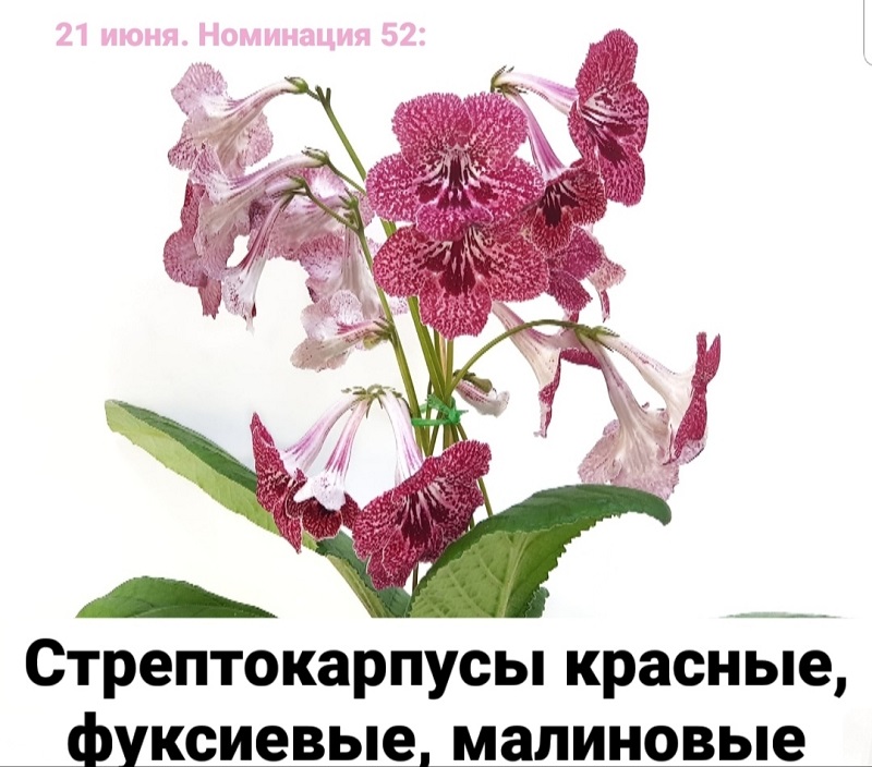 aNoXTw14UUY.jpg