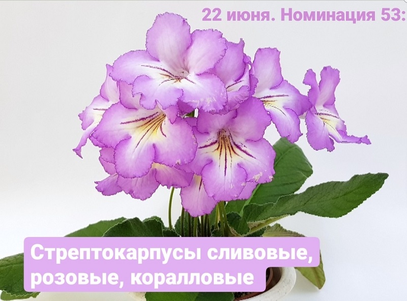 9V6oOZmZx1w.jpg