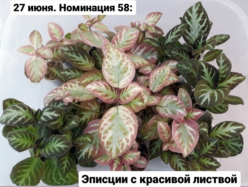 KYJZEo7Epu0.jpg