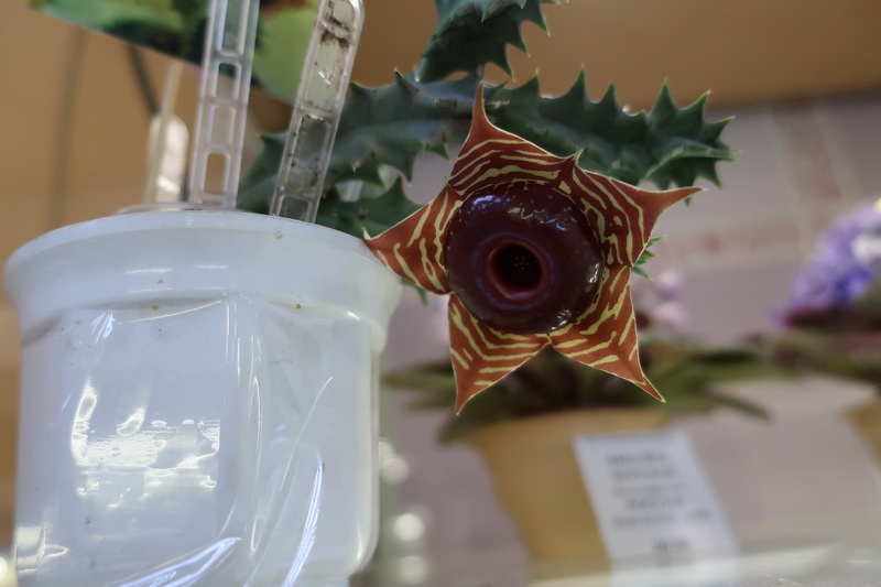 IMG_2569.JPG