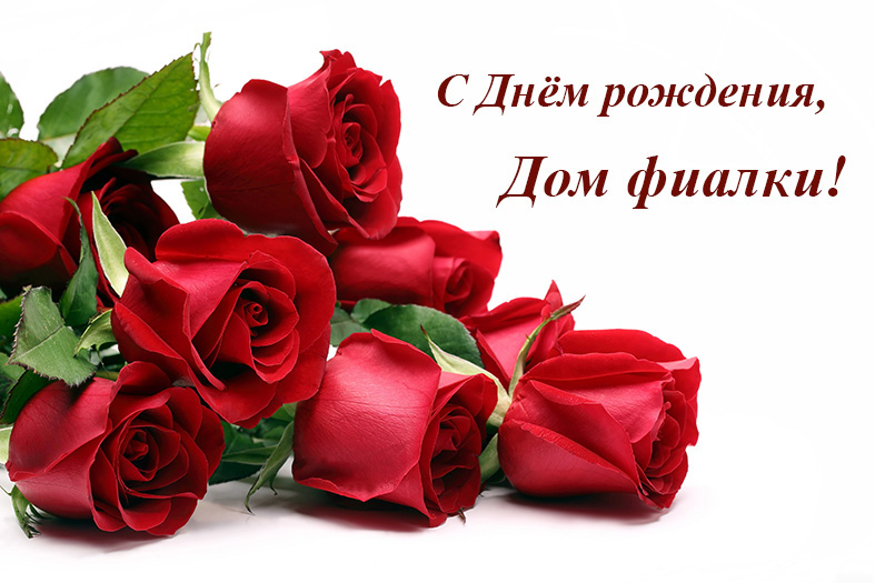 С Днем рождения, Дом фиалки.jpg