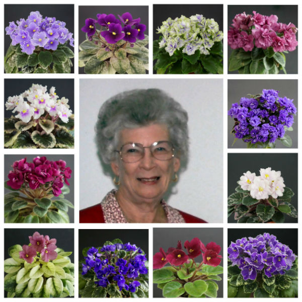 MyCollages (5).jpg