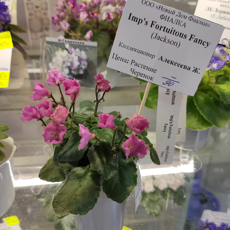 IMG_20200903_173438.jpg
