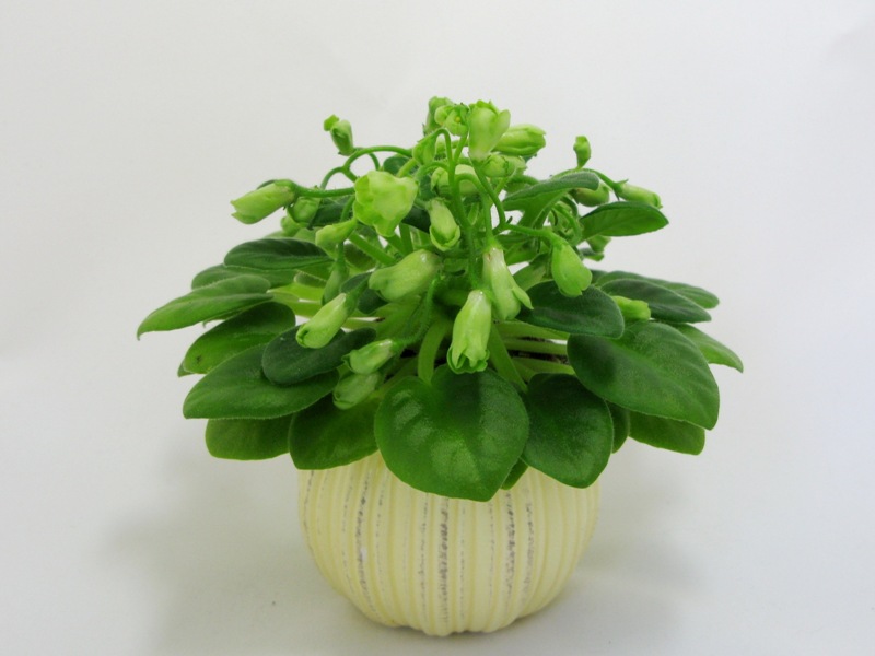Emerald Bell.JPG