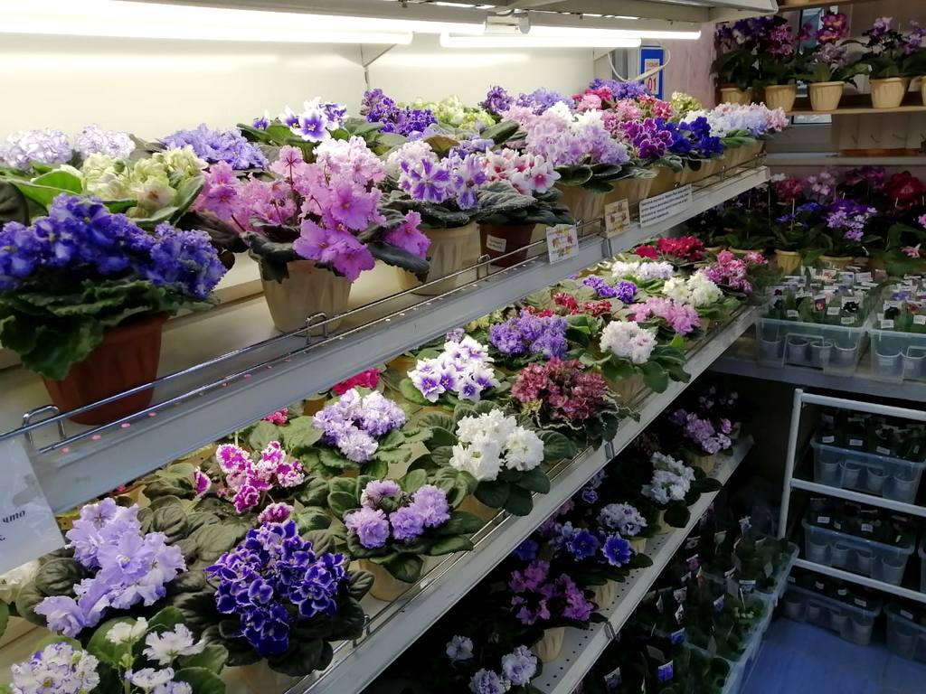 стеллаж Дорофеева НВ.jpg