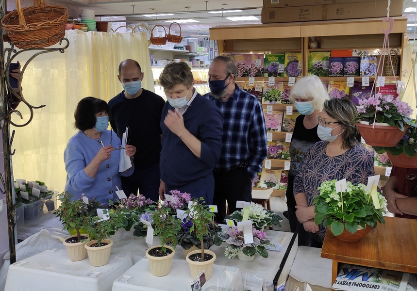 судейство.jpg
