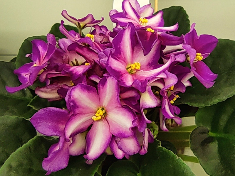 ВаТ-Акрил (Галицкая).jpg
