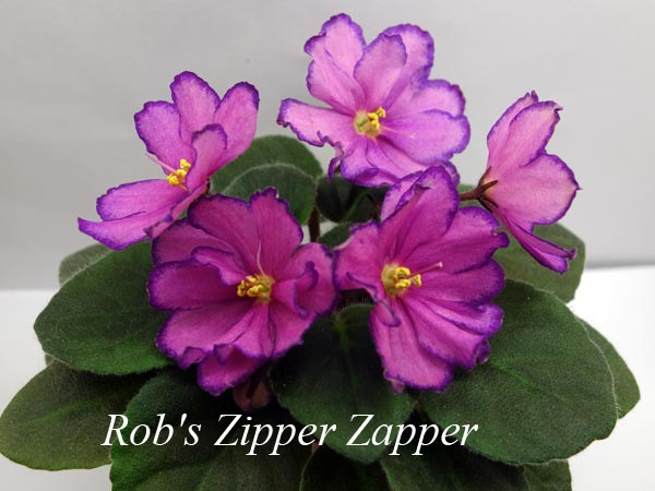 Rob's Zipper Zapper1.jpg
