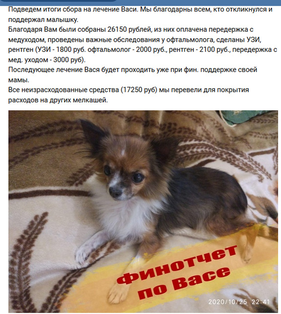 Screenshot_2020-11-20 Поиск новостей по запросу #мид_вася.jpg
