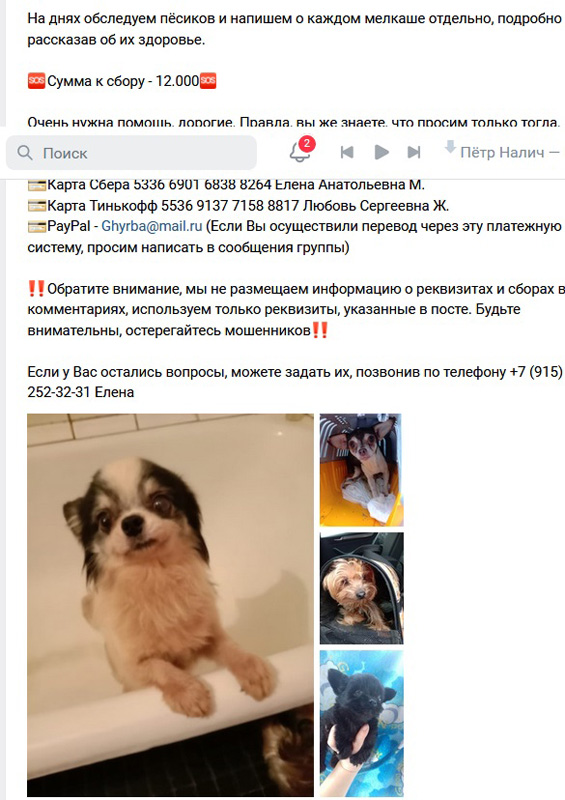 1533390220_3.jpg