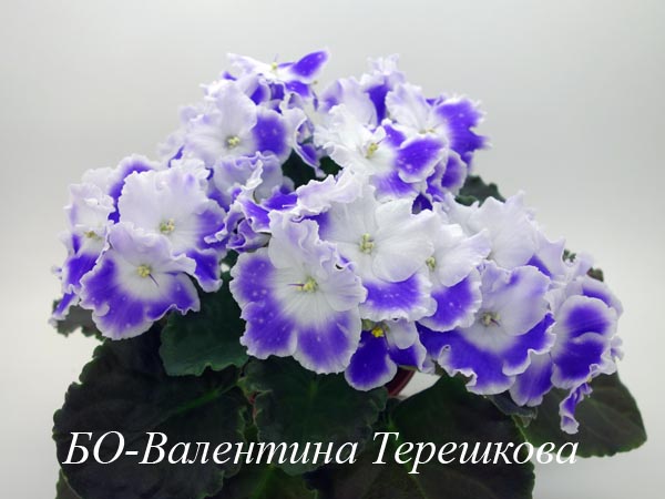 БО-Валентина Терешкова.jpg