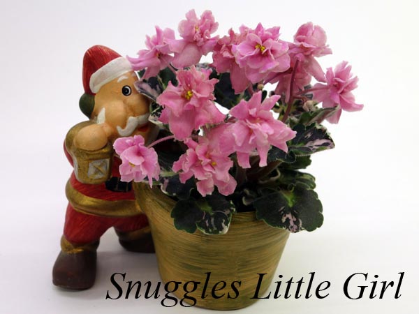 Snuggles Little Girl.jpg