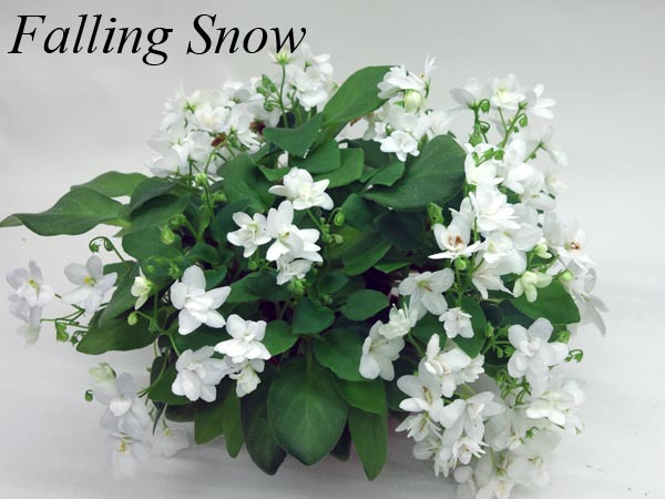 Falling Snow.jpg