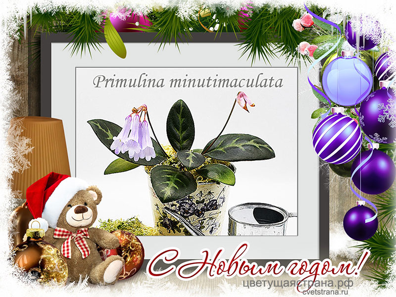 С-новым-годом!!.jpg