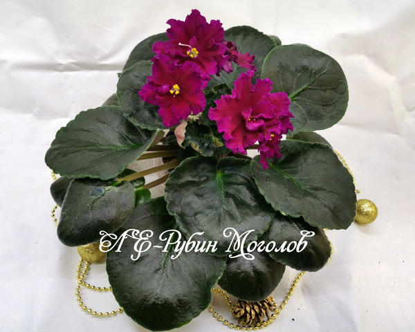 ЛЕ-Рубин-Моголов.jpg