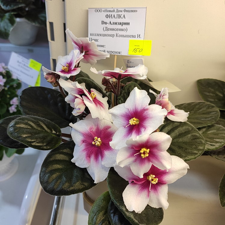 IMG_20210104_125126.jpg