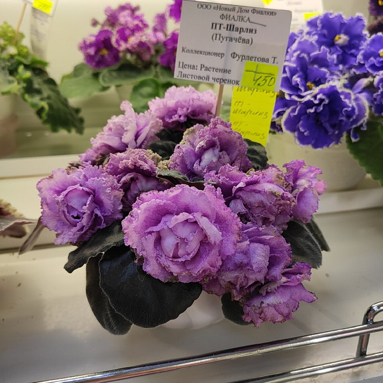 IMG_20210104_172445.jpg