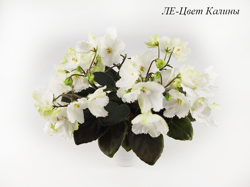 ЛЕ-Цвет Калины.jpg