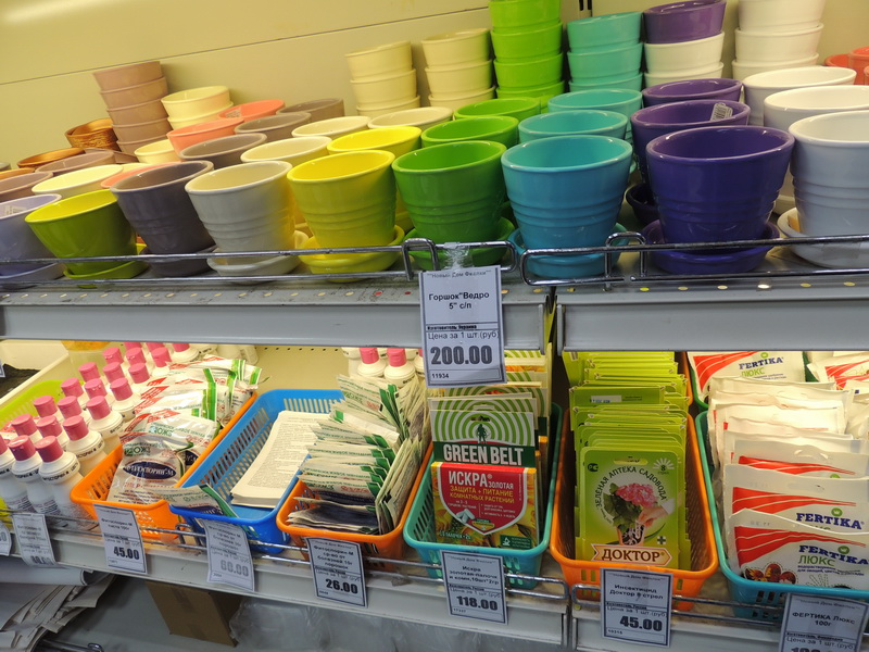 DSCN8906.JPG