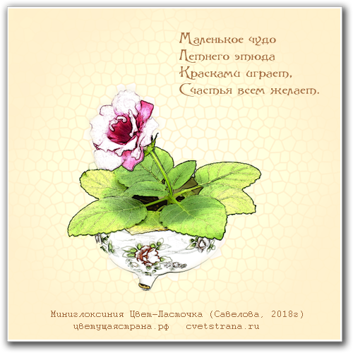 Цвет-Ласточка-картина-со-стихами3.png