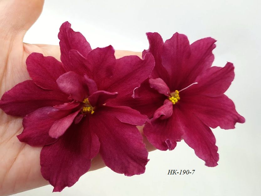 20201101_155419.jpg