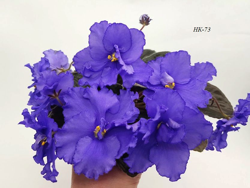 20201030_101425.jpg