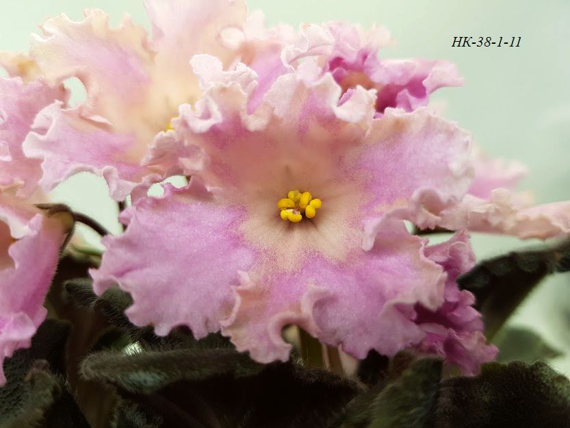 20201101_152837.jpg