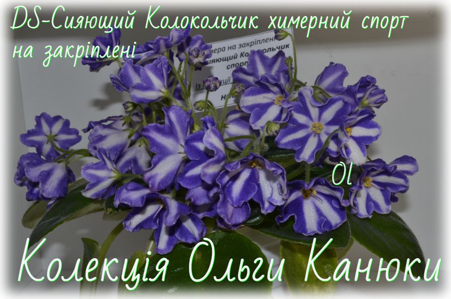 Ol-Танок Зірочок (О.Канюка)