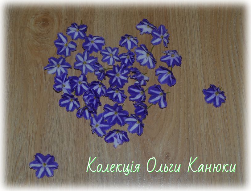 Ol-Танок Зірочок (О.Канюка)