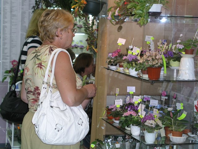 Bolshoy vybor malenkih fialok.JPG