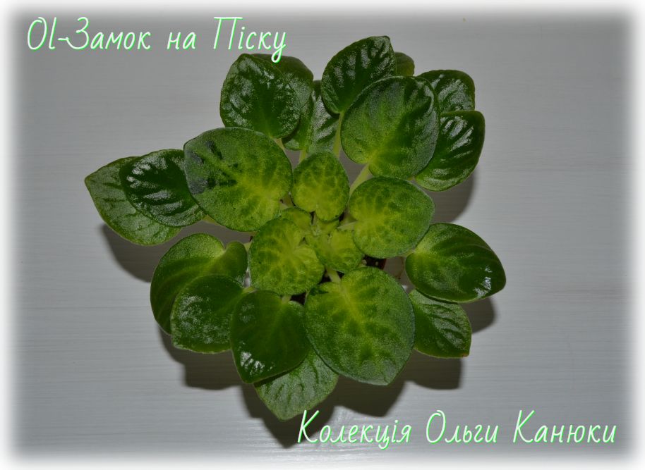 Ol-Замок на Піску