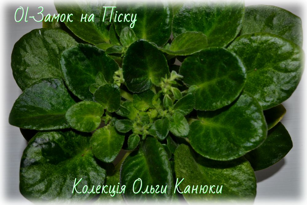 Ol-Замок на Піску