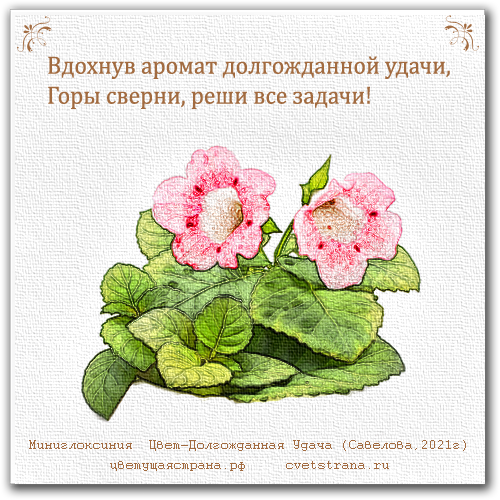 Картина-Цвет-Долгожданная-Удача.png