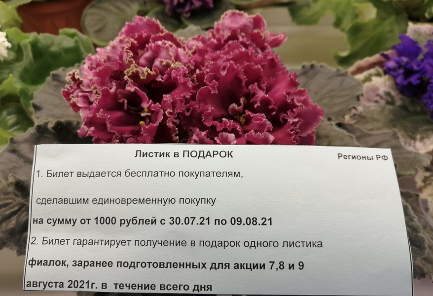 qMI9YBUHeTA.jpg