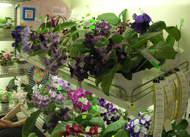 6.JPG