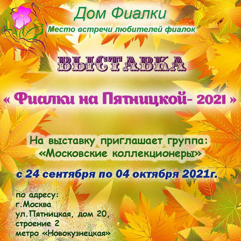 Фиалки на Пятницкой 2021.jpg