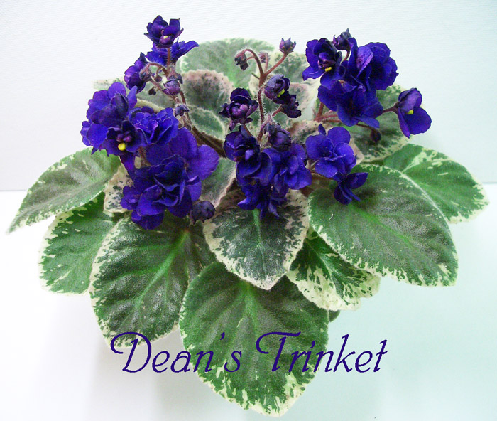 Dean's Trinket.jpg
