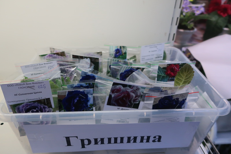 IMG_1146.JPG