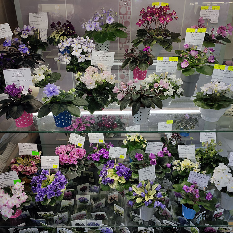 IMG_20211118_164639.jpg
