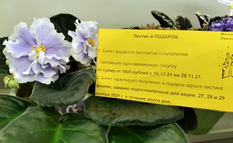 билет.jpg