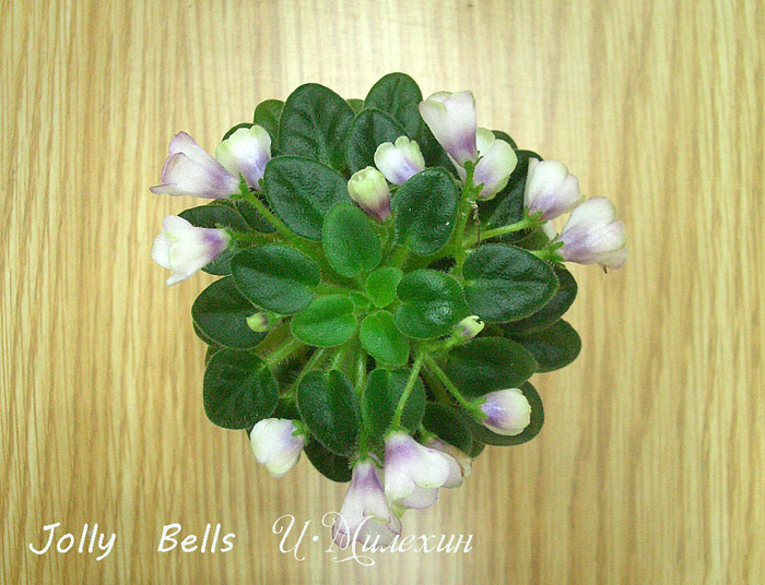 Jolly Bells И.Милехин.JPG