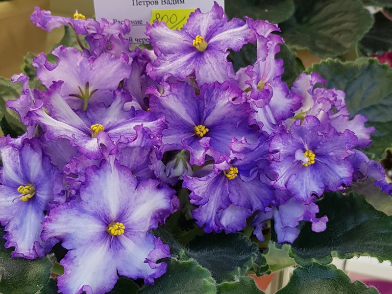 20220127_183021.jpg