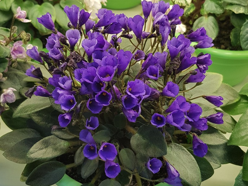 20220127_183306.jpg