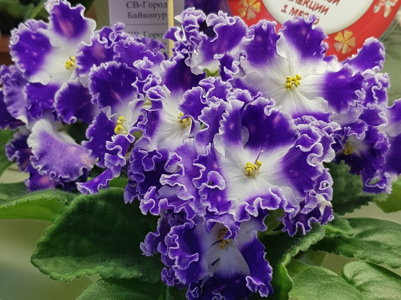 20220127_183336.jpg
