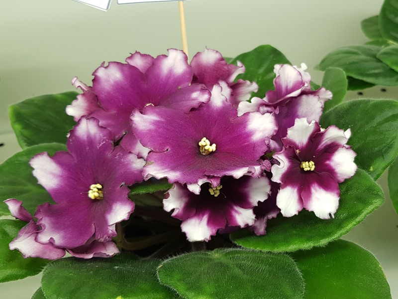 20220127_182913.jpg