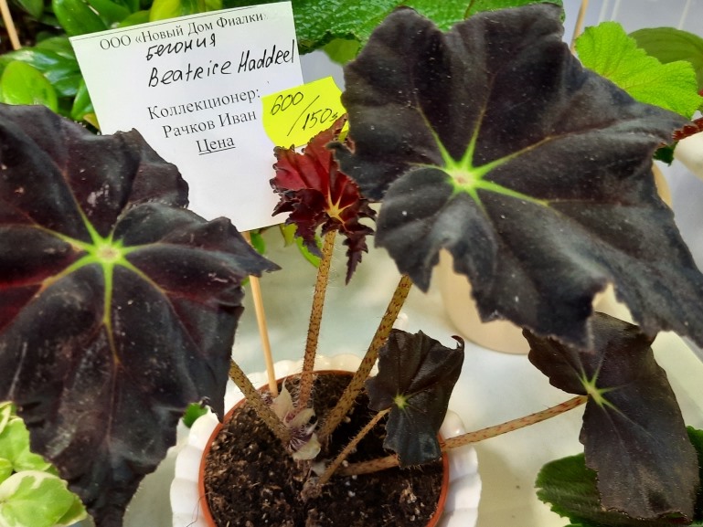 20220130_120548.jpg