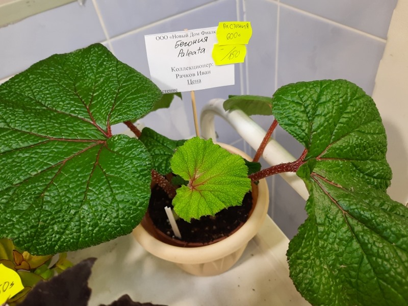 20220130_120610.jpg