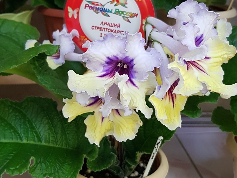 20220127_182317.jpg