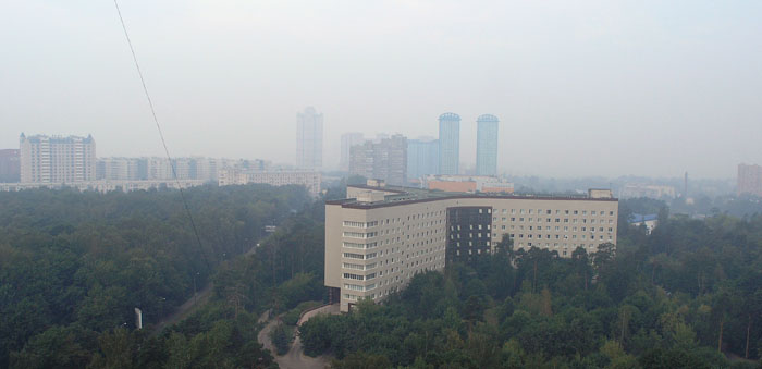 2.JPG
